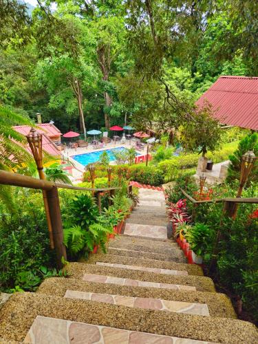 a garden with a pathway leading to a swimming pool at MINCA Chunuu - glamping - coworking MINCA in Minca