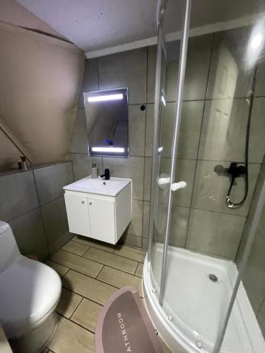 a bathroom with a shower and a toilet and a sink at Glamping III Domo 7 Tazas con Tinaja in Molina