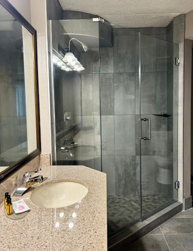 a bathroom with a sink and a shower at Best Western Plus Kelly Inn in Saint Cloud