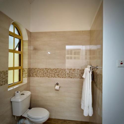 a bathroom with a toilet and a window at Paradise Farm Cottages Mbui Nyeri in Ihua