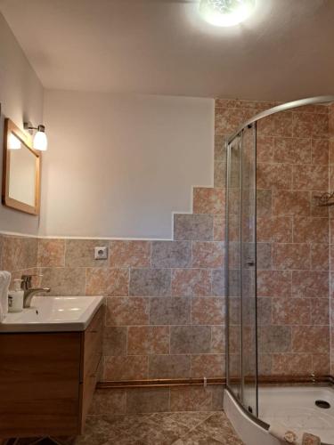 a bathroom with a shower and a sink and a tub at Casa Sofia in Vama