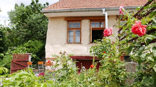 Galeriebild der Unterkunft Orátor - restaurace a ubytování in Lazanky