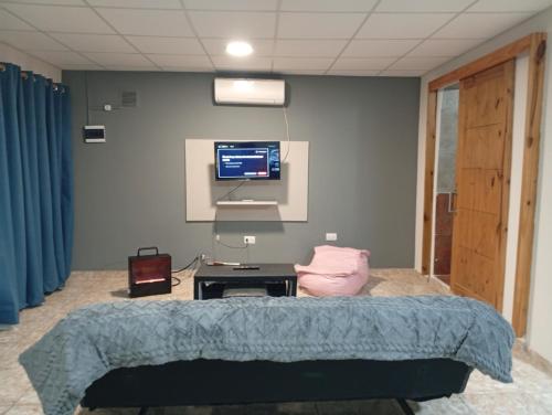 a hospital room with a bed and a tv at Aires de Mendoza in Maipú