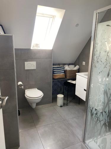 a bathroom with a toilet and a skylight at Les Rives des Habsbourg in Ensisheim
