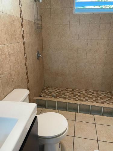 a bathroom with a toilet and a sink and a shower at Arecibo's country cottage in Arecibo