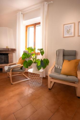 a living room with two chairs and a potted plant at Casa Mario in Riparbella