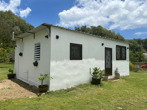 a white house with plants in front of it at Arecibo's country cottage in Arecibo