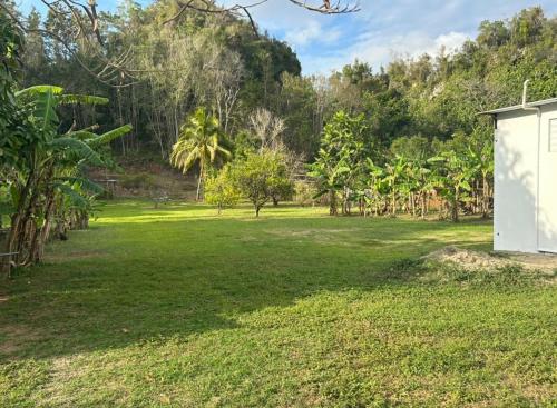 a large yard with a white building in the middle at Arecibo's country cottage in Arecibo