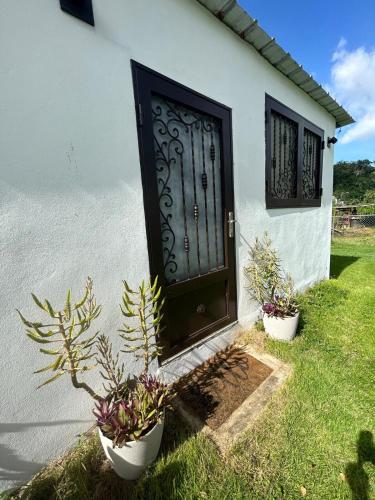 a black door on a white house with two potted plants at Arecibo's country cottage in Arecibo