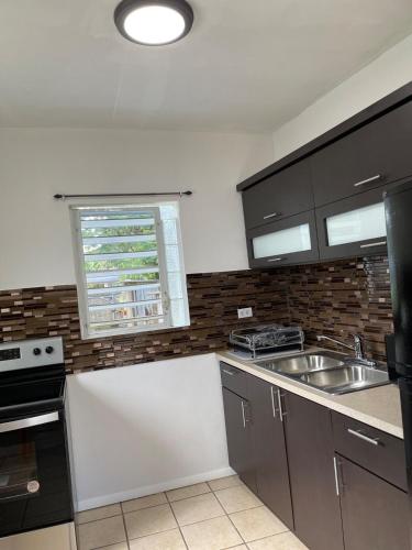 a kitchen with gray cabinets and a sink and a window at Arecibo's country cottage in Arecibo
