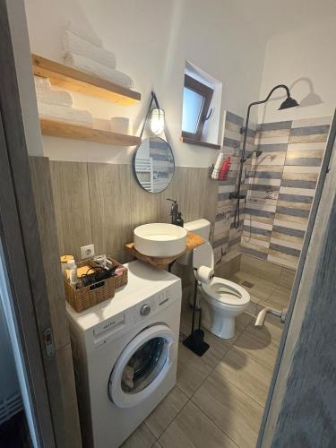 a bathroom with a washing machine and a toilet at Airport Green 2 in Cluj-Napoca
