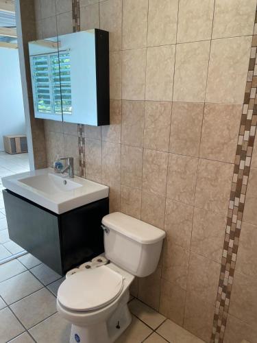 a bathroom with a toilet and a sink at Arecibo's country cottage in Arecibo