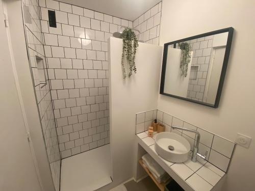 Logement cosy au pied du métro Toulouse