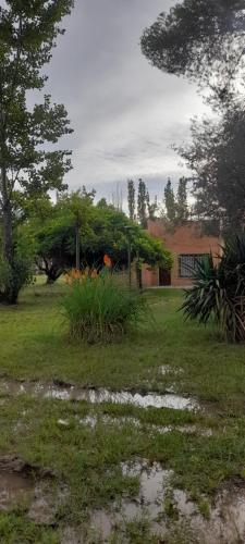 a puddle of water in a yard with a house at Casa de chacra in Veinticinco de Mayo