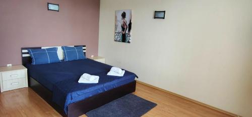 a bedroom with a blue bed with blue pillows at Къща за гости ,,Ива'' in Bŭlgarevo