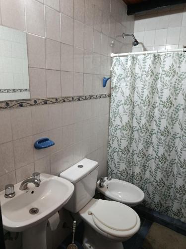 a bathroom with a toilet and a sink and a shower curtain at Aparthotel Koshem in Perito Moreno