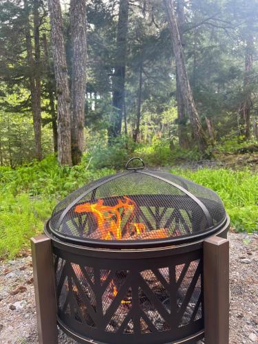 a fire pit in the middle of a forest at Alyeska Spruce Cabin in Girdwood
