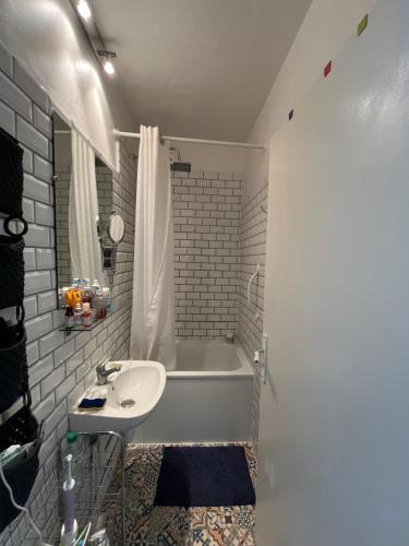 Bright charming 2 bedrooms apartment near Bastille