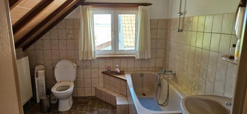 a bathroom with a toilet and a tub and a sink at Hof van Lapscheure in Damme