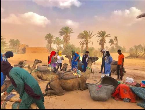 a group of people standing around a camel in a desert at Sahara Camp Light in Mhamid