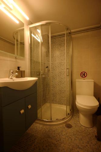 a bathroom with a shower and a toilet and a sink at Naousa's Melody in Naousa