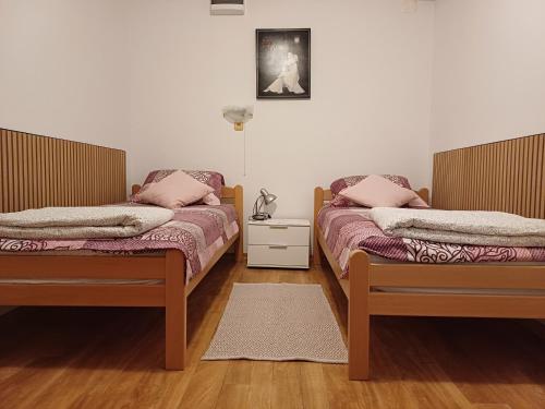 two beds sitting next to each other in a room at Apartma Zeleni mir in Dobravlje