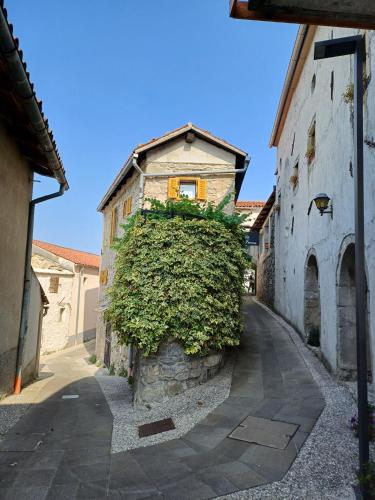 an alley with a large bush in front of a building at Apartma Zeleni mir in Dobravlje