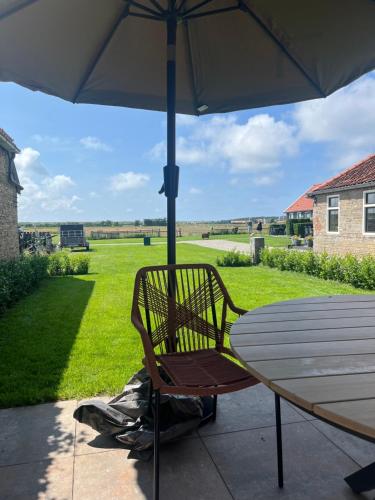 Jardín al aire libre en Muziekskuur