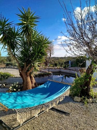 a swimming pool in a yard with palm trees at Casa Oasis - Paraiso na Terra in Tunes