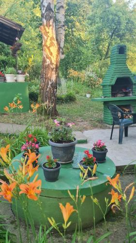 Taman di luar Vikendica Alisa