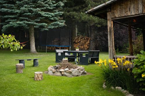 a picnic table and a fire pit in a yard at Heart of Polen appartements in Piechowice