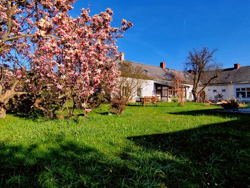 Gemütliche Landhauswohnung