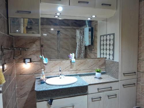 a bathroom with a sink and a shower at Quiet Living in Cairo