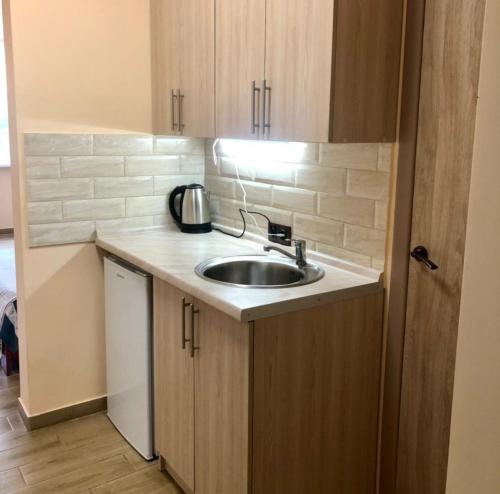 ザトカにあるApartments Promenad 2のシンクと電子レンジのある小さなキッチン