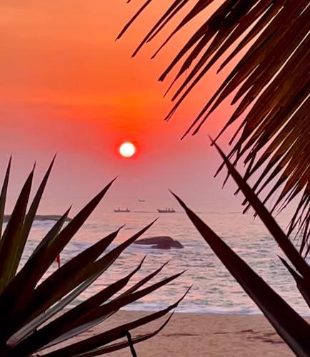 a sunset on the beach with a palm tree at Beach Bungalow Yala in Kirinda