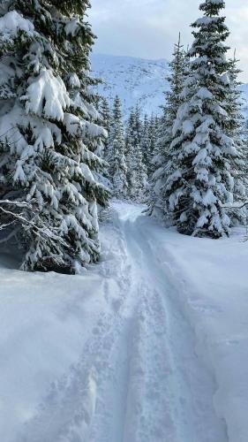 Το Luxury Mountain Cabin With Ski In And Out τον χειμώνα