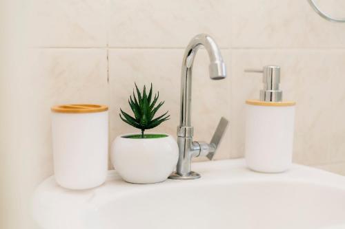 a plant in a pot sitting on a counter next to a sink at Suíte no Centro de Caxambu - Poucos metros do Parque in Caxambu