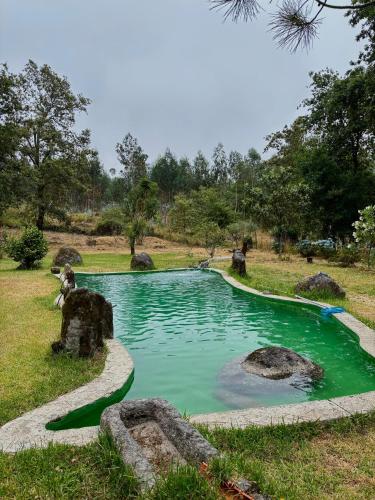 a pool of green water in a field at Casa do Arte - Peaceful Retreat with a Pool near Guimarães in São Torcato
