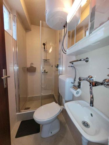 Apartment in Novi Vinodolski 15381