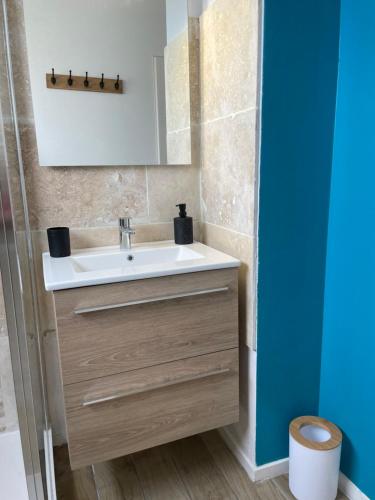 Bilik mandi di Appartement calme vue mer côte sauvage Quiberon
