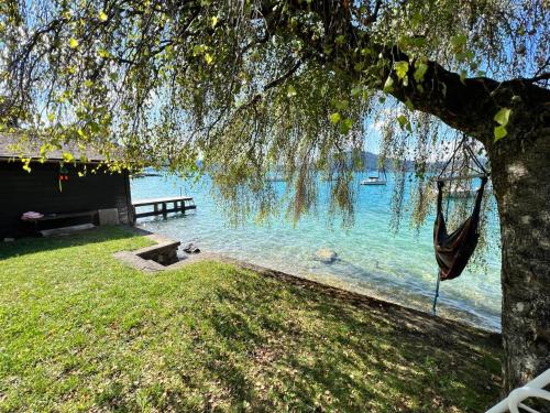 a hammock hanging from a tree next to a lake at Exklusiver Seetraum am Attersee direkt am See in Litzlberg
