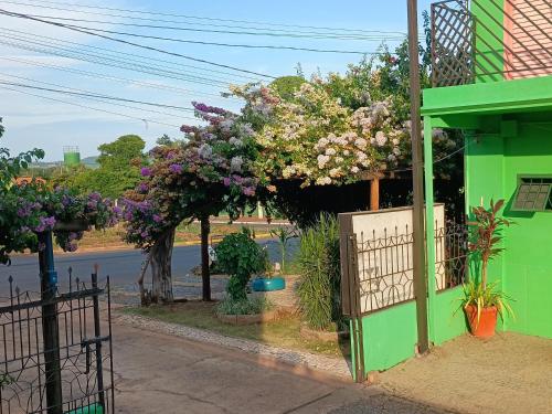 a green building with a bunch of flowers at Pousada Primavera in Bonito