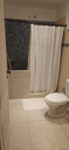 a bathroom with a toilet and a shower at Itzel in Picún Leufú
