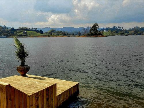 a potted plant sitting on a wooden dock in the water at La Pausa Hotelbistro in Guatapé