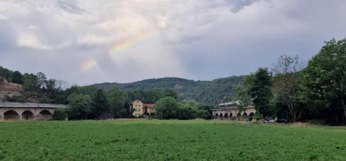 a rainbow in the sky over a green field at Altes Saale Fährhaus in Naumburg