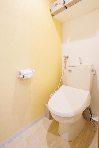 a bathroom with a white toilet in a room at Hotel Hs Park Chitose in Chitose