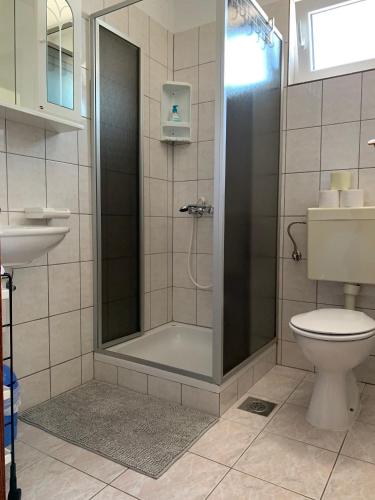 a bathroom with a shower with a toilet and a sink at Apartments with parking space Banjol, Rab - 16647 in Rab