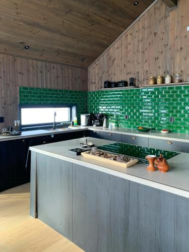 Η κουζίνα ή μικρή κουζίνα στο Modern Cabin With Panoramic View By Nissedal