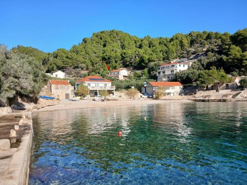 Seaside secluded apartments Cove Torac, Hvar - 24462
