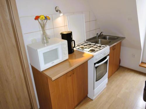 Η κουζίνα ή μικρή κουζίνα στο Double room with garden view, Lubin